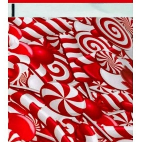 Candy Cane Poly Mailers 10x13