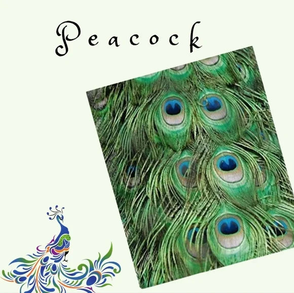 Peacock Poly Mailers 10x13